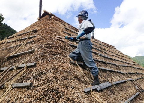 屋根の作業をしている職人の写真