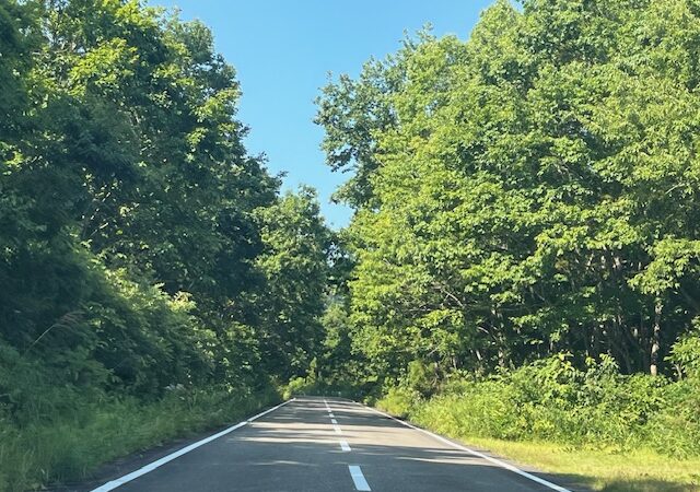 【大自然の中で】○○に遭遇！
