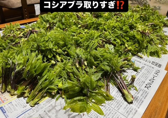 【至福の時間】連休最終日