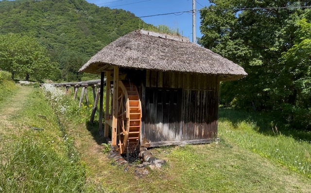【茅葺き屋根】水車修繕工事 現地確認時に熊が！
