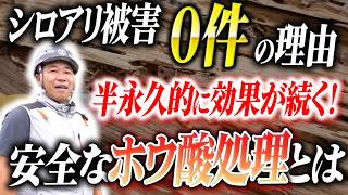 【新築のシロアリ対策】プロが教える「ホウ酸処理」のメリットと悪徳業者の手口を徹底解説！